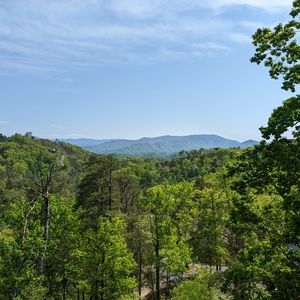 Meet your Posher, Chandler